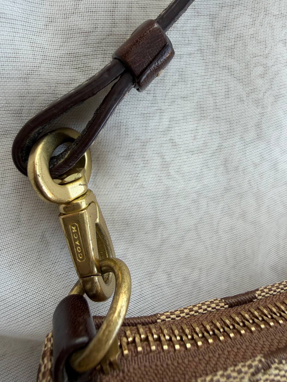 SIGNATURE COACH CANVA